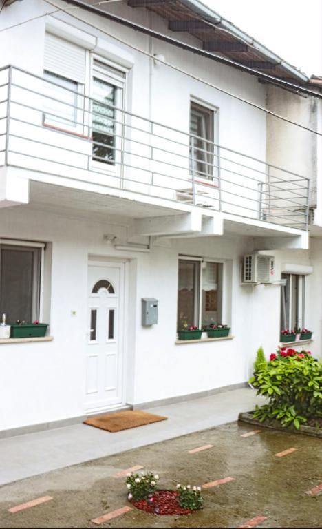 Red Kruz, Vračar (historical)