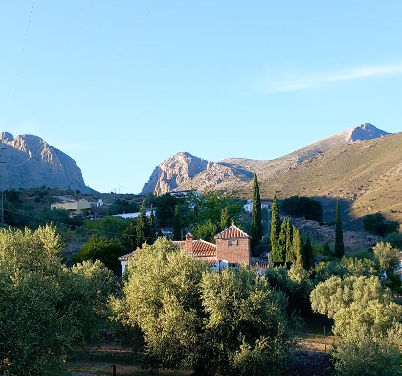 Harmony Home, Alcaucín