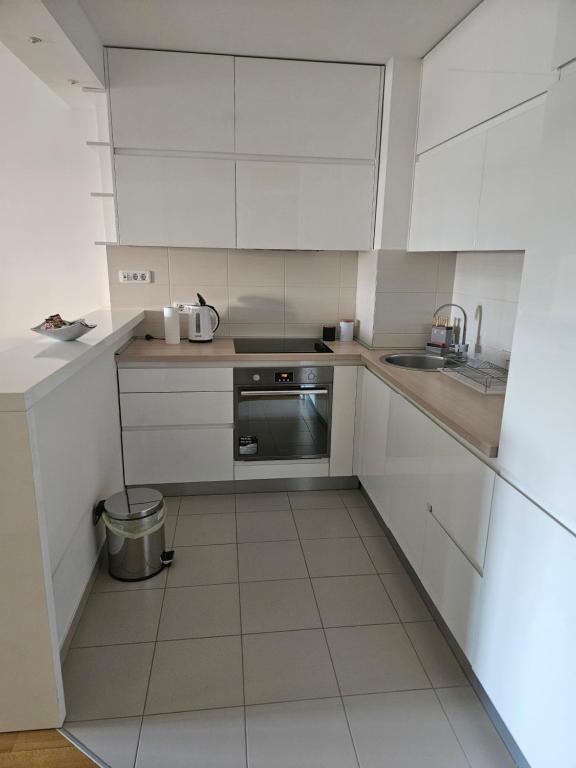 Stylish New Belgrade apt parking 5e per day - 5