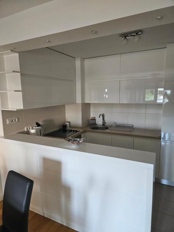 Stylish New Belgrade apt parking 5e per day - 4