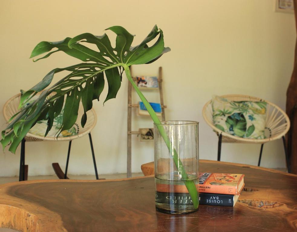 Tierra Mia Boutique Hotel photo