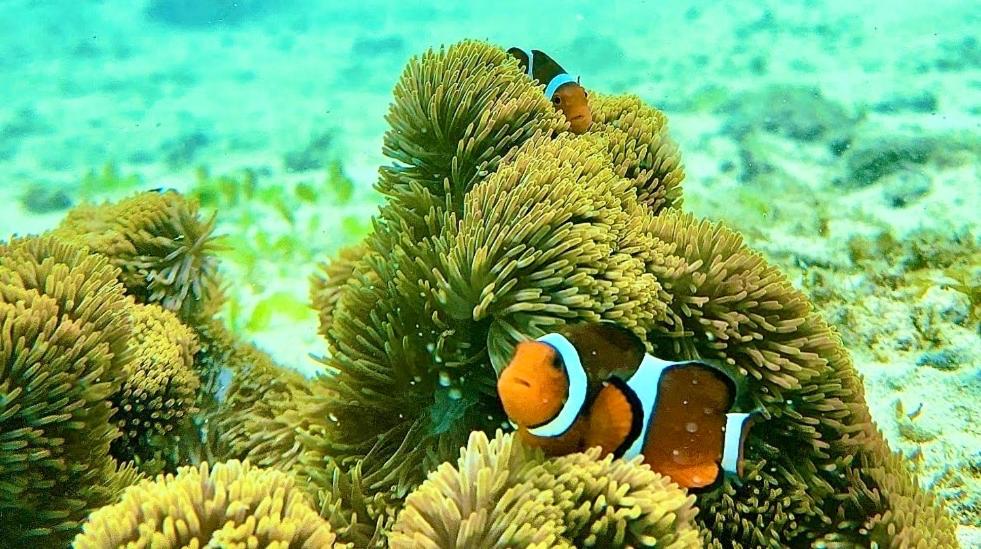 Surrounding environment