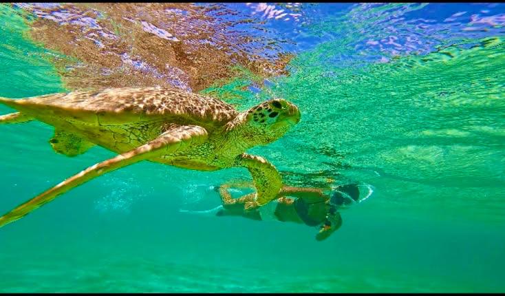 Surrounding environment