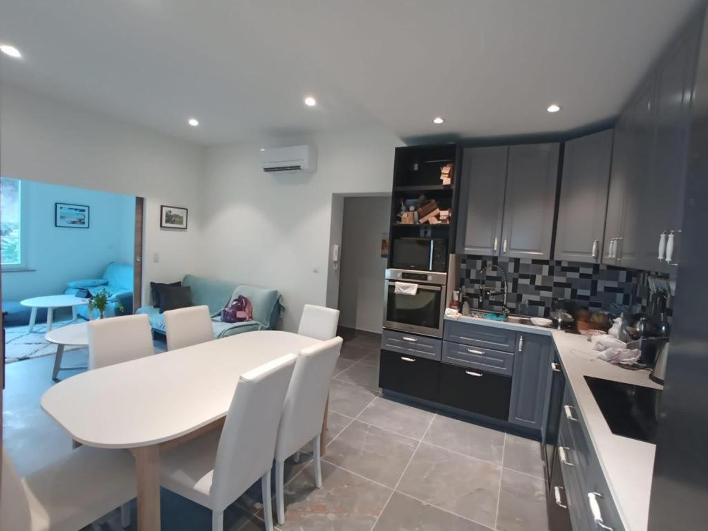 appartement nice - 4