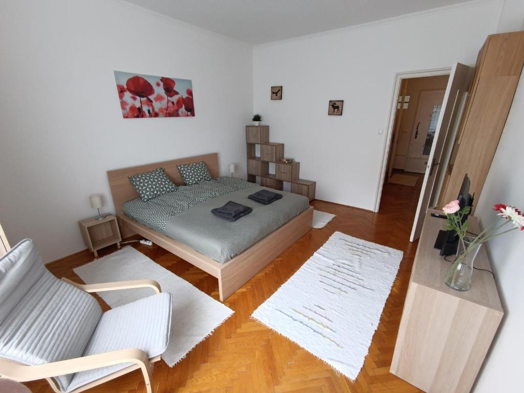 Barátságos, csendes, napfényes lakás., Budapest