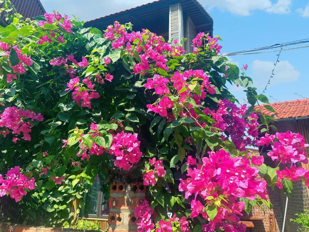 Trang an Moon Garden Homestay