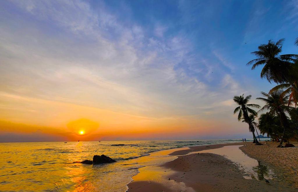 Surrounding environment