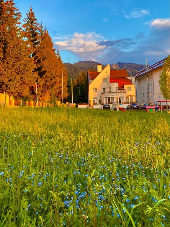 Vila Diana - Poiana Brasov with breakfast optional at hotel Simona Halep