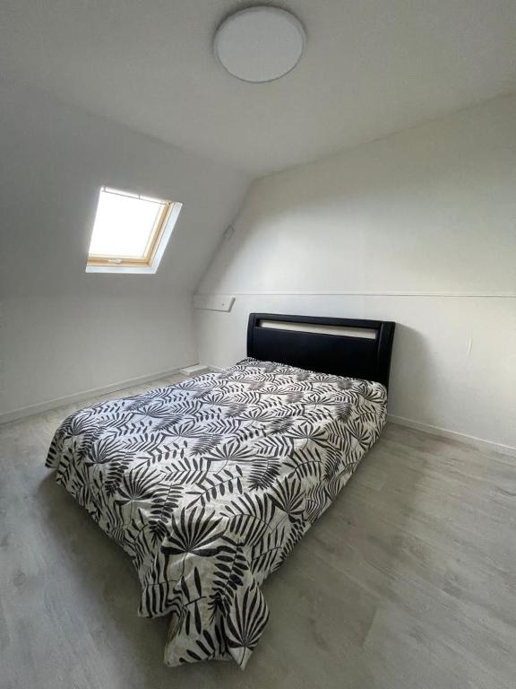 Chicorée, Bout dʼAmont