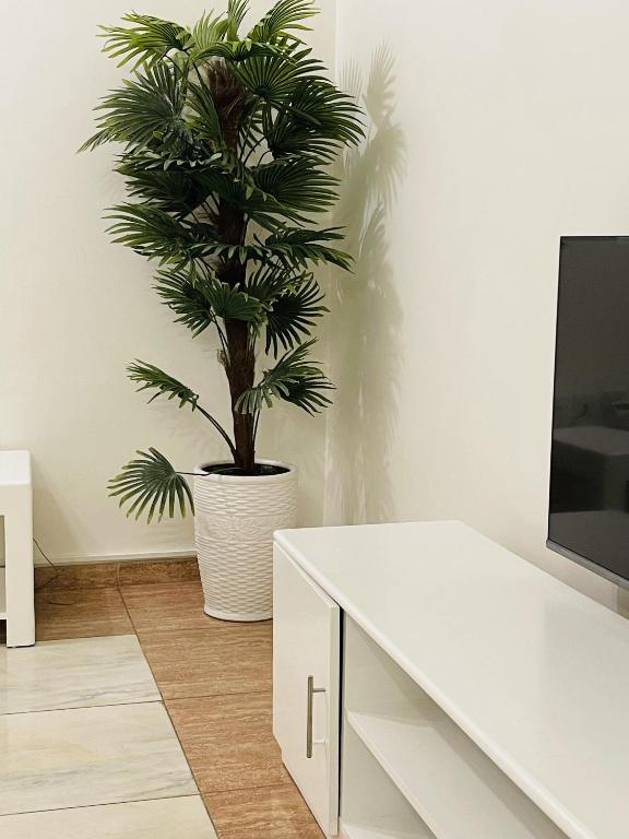 Shared lounge/TV area