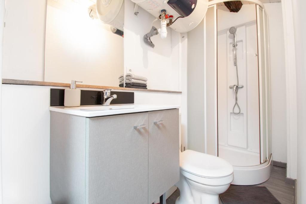 T3 Duplex de charme au cœur du quartier historique - 4