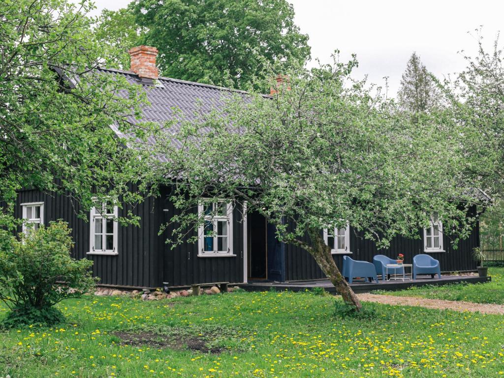 Nightingale, Brušvīti