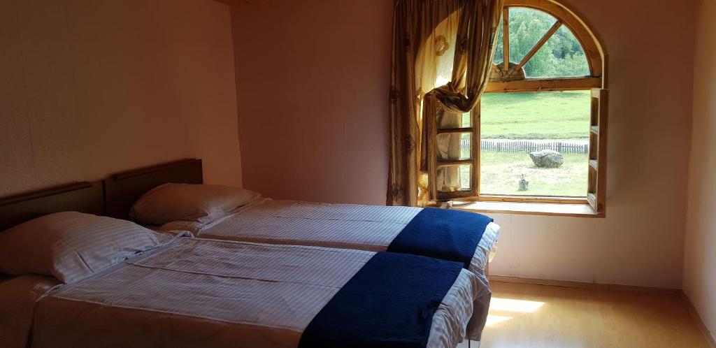 Hotel Tusheti photo