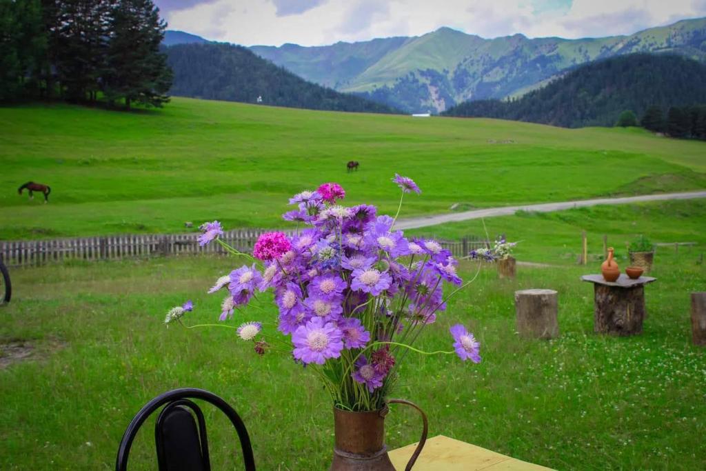 Hotel Tusheti photo