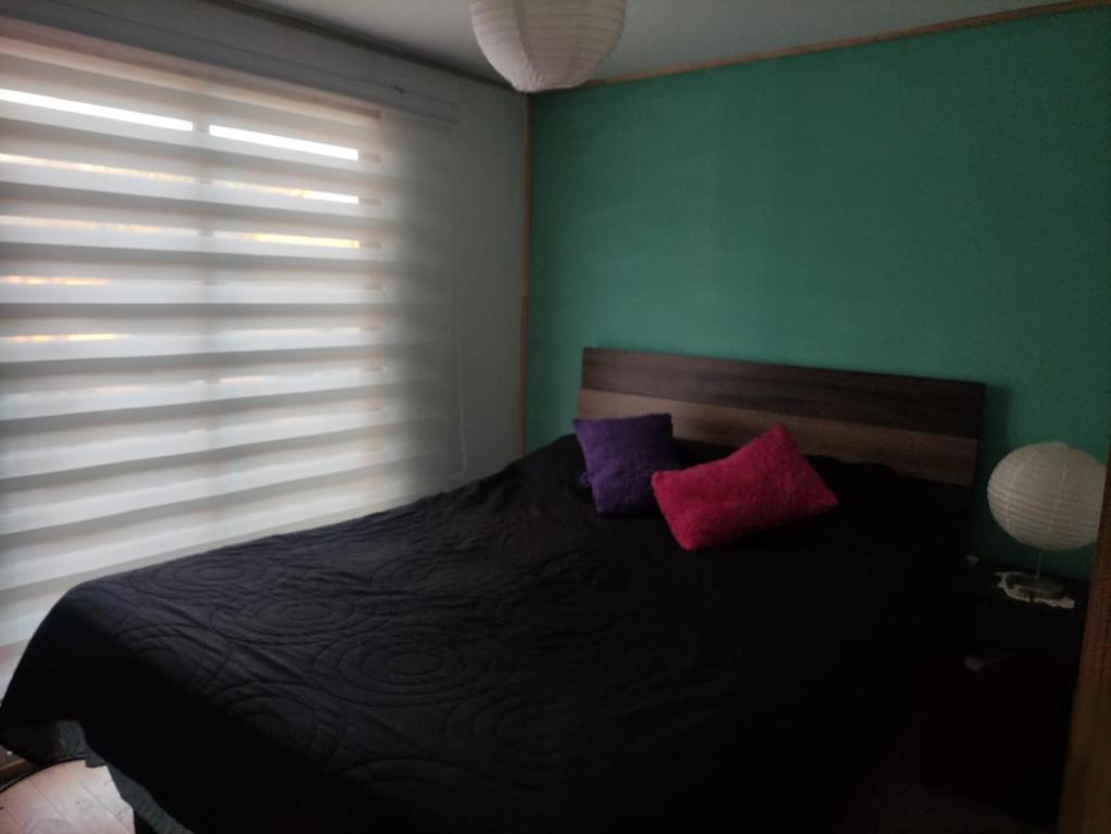 Cabañas buchupureo, Buchupureo