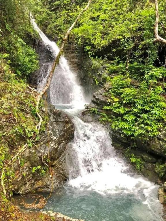 Mount Avangan Eco Adventure Park photo