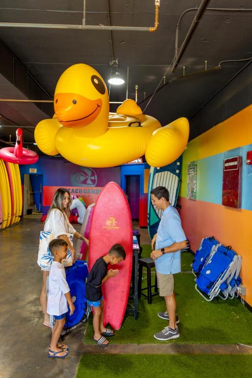 Attractions