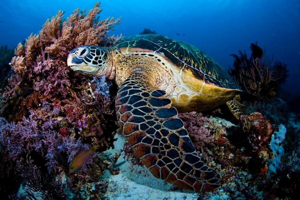 Sports and activities