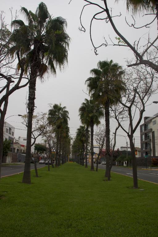 Casablanca Lima photo