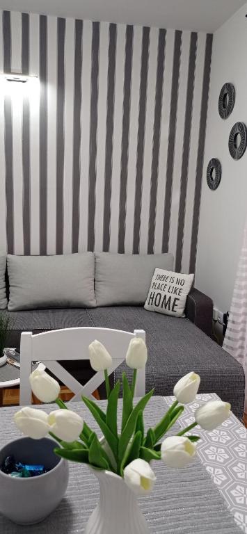 Apartman Harmonija Vrnjacka Banja photo