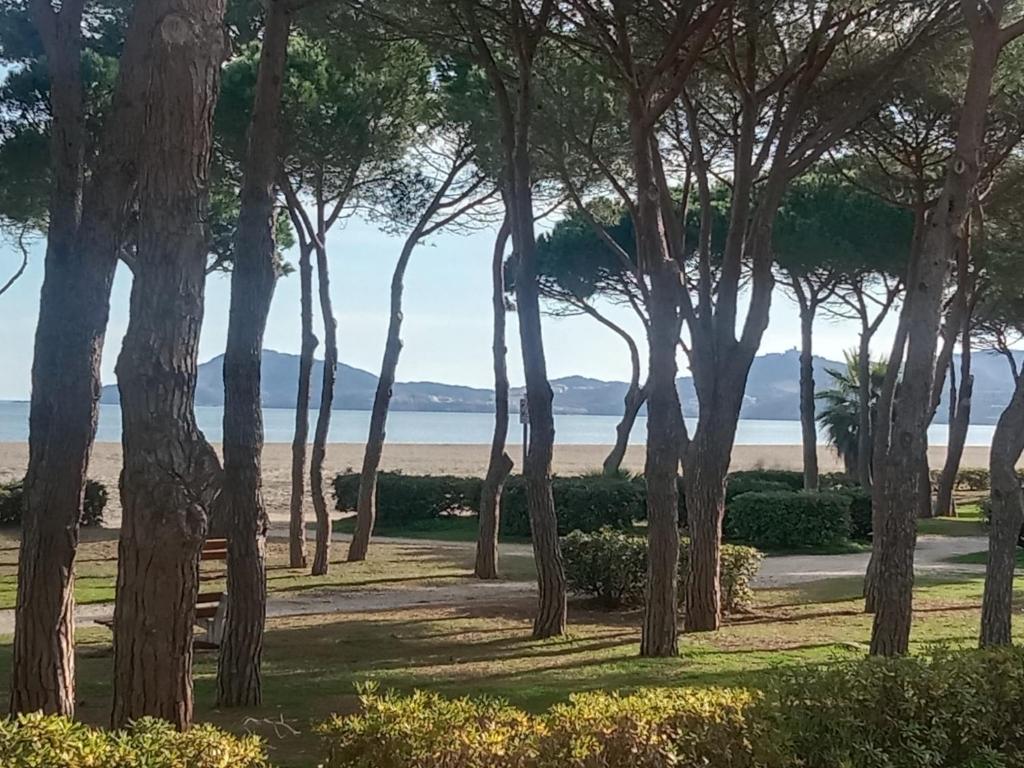 DIRECT PLAGE - 2