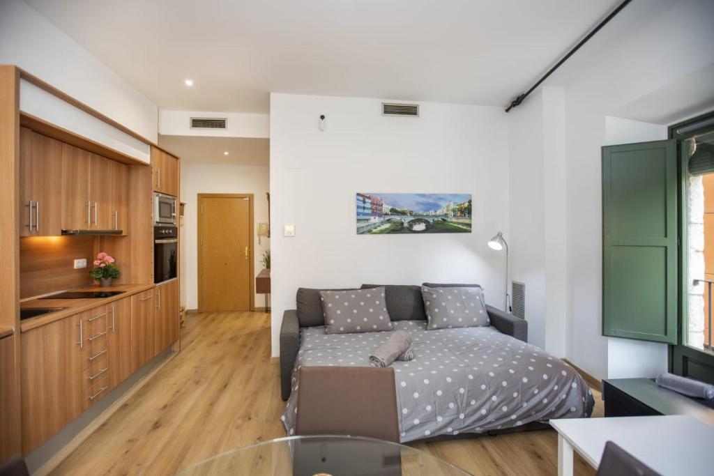 Apartament al cor del barri vell de Girona - 4