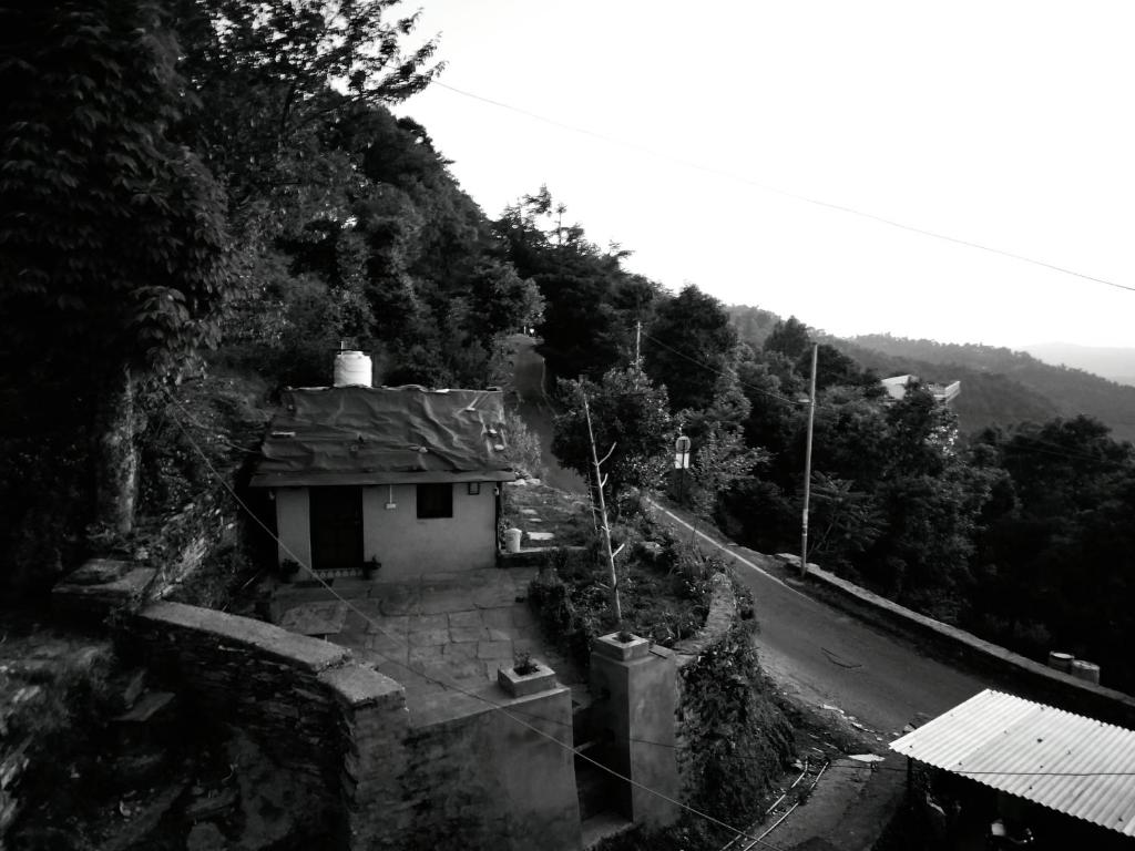 Sharda Stay's Binsar Himalayas photo