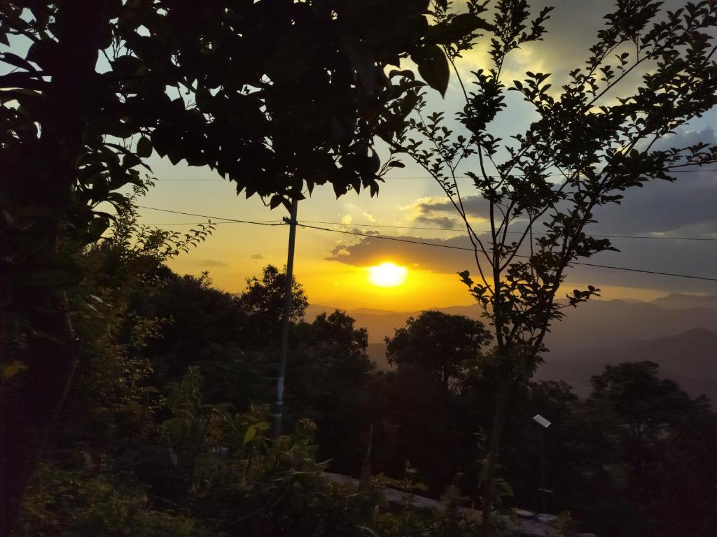Sharda Stay's Binsar Himalayas photo