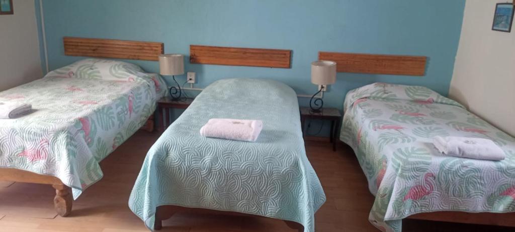 Hostal Don Felipe - 4