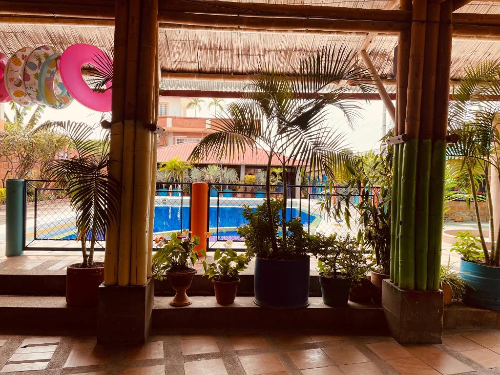 Leño Verde - 5