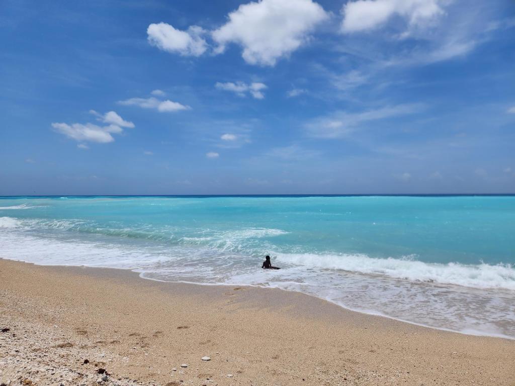 Beachfront Apartment, Quiet 4 Beds, 1 Bath, AC, Wi-Fi, Hot Water, in Paraiso near Los Patos, Paraíso