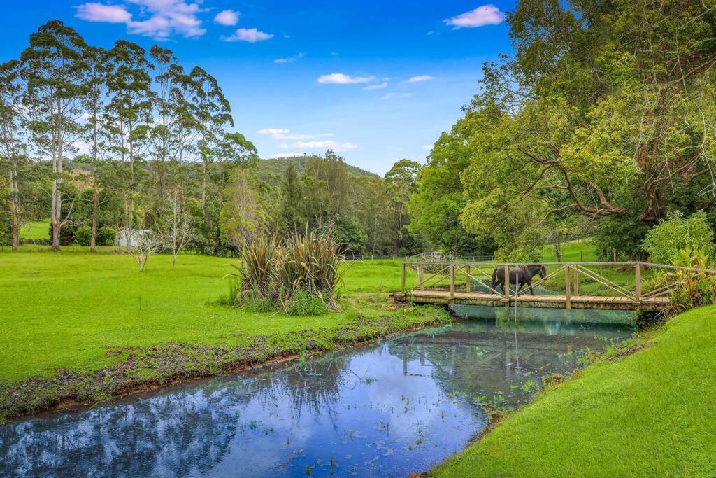 Cabin on Acreage w Ponies and Pool, Picketts Valley