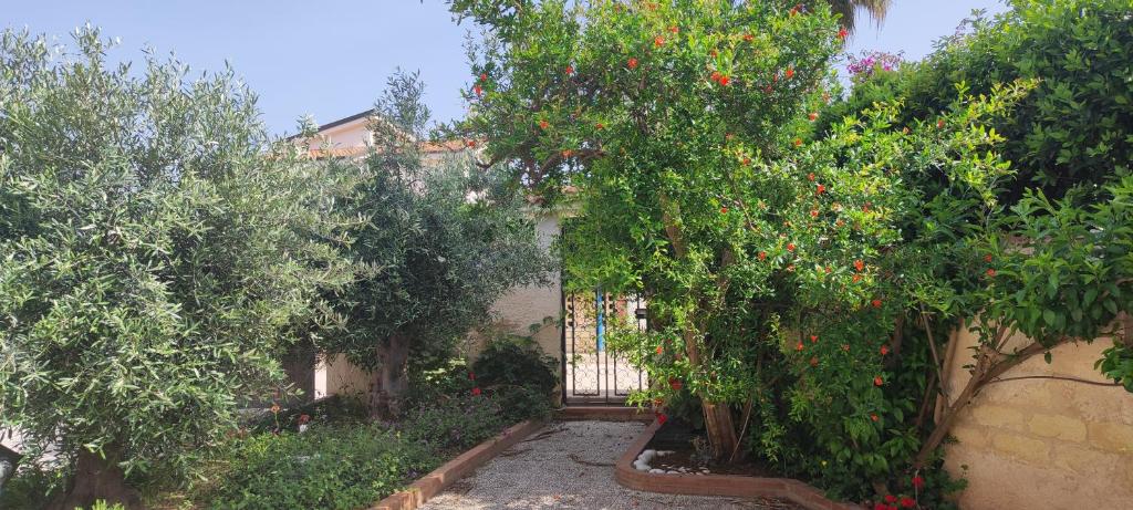 Villavenezia via Ruggero il Normanno - 5