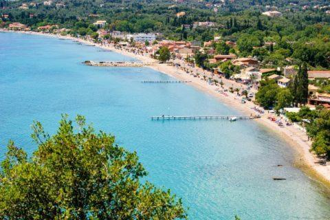 Ipsos seaside, Ipsos