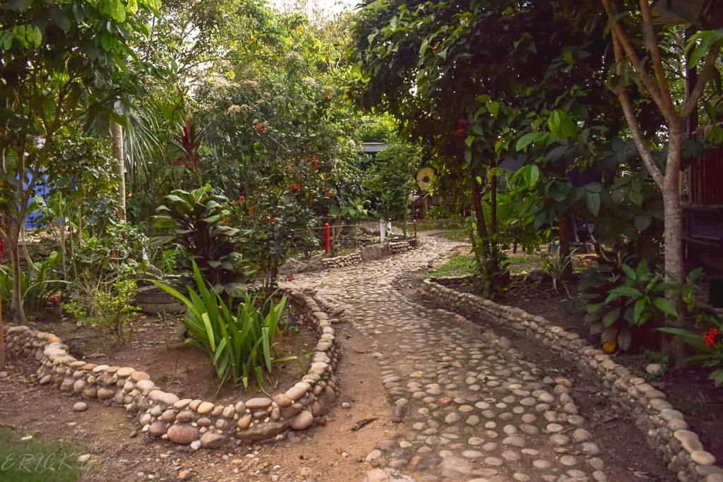 Hostal Caño Nevera - 5