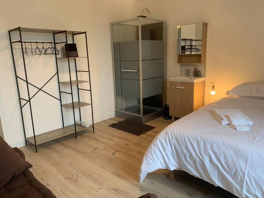 Spacieux Duplex centre Tours et bord du Cher Loire Valley - 3