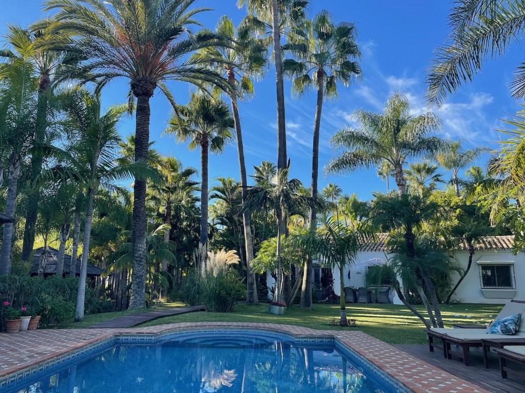 Villa in a palm tree plantation, Marbella