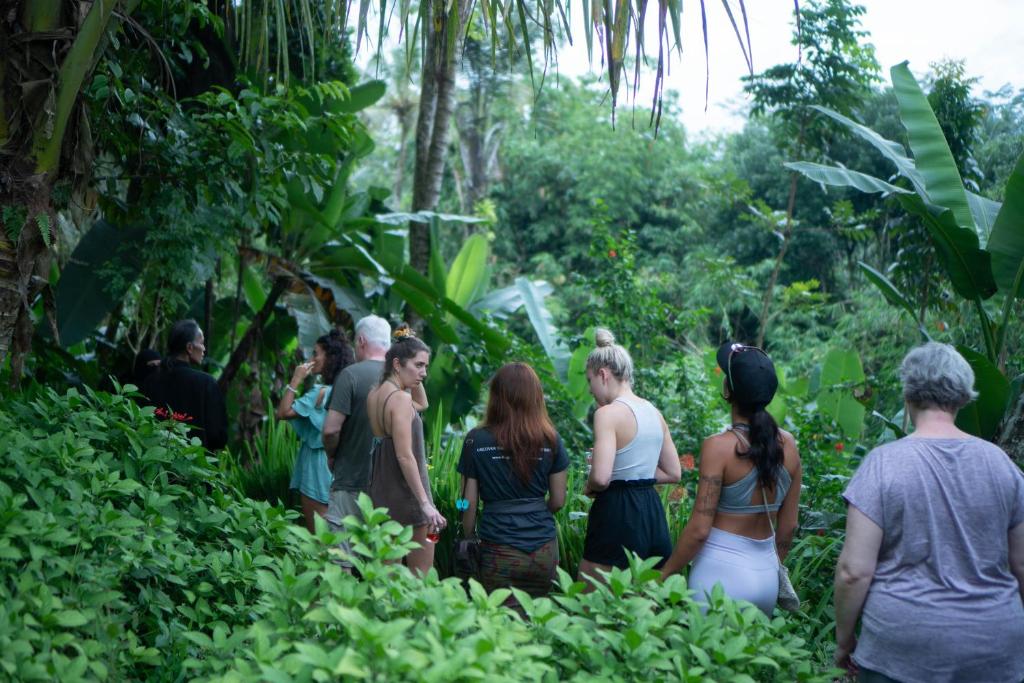 アクティビティ