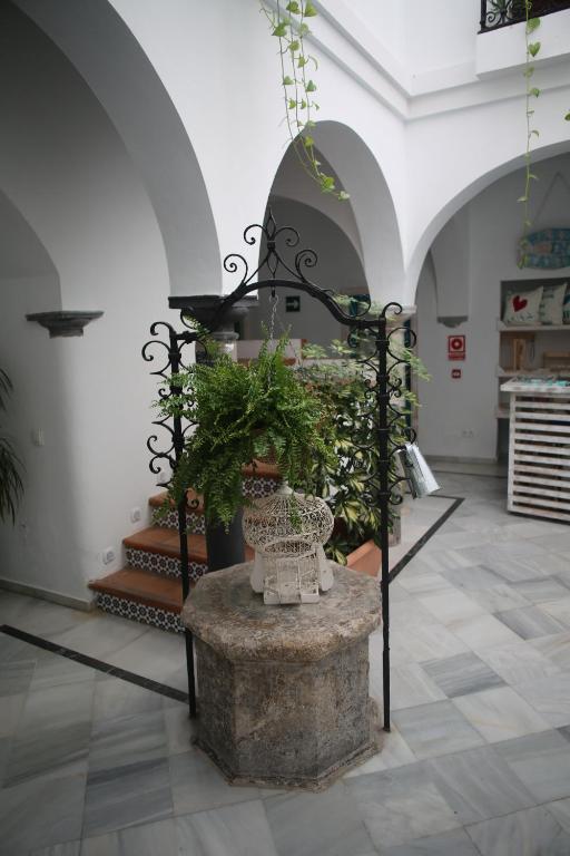 Wake up in Tarifa Hostel & Restaurant Lounge - 3