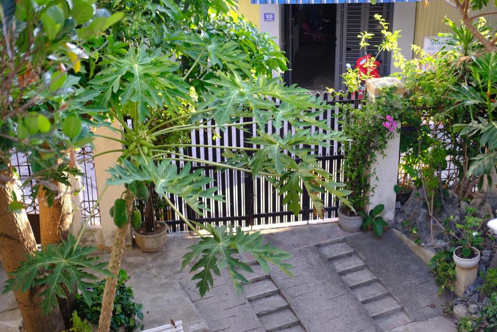 Moon house tropical garden - Coconut 호텔 이미지 2