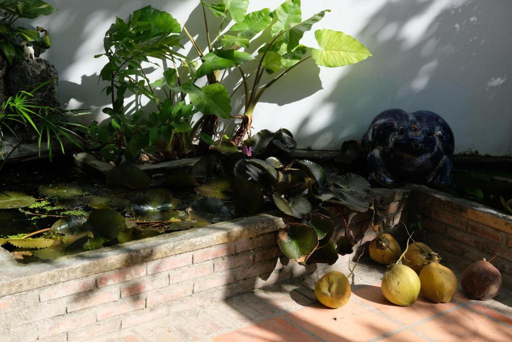 Moon house tropical garden - Coconut 호텔 이미지 1