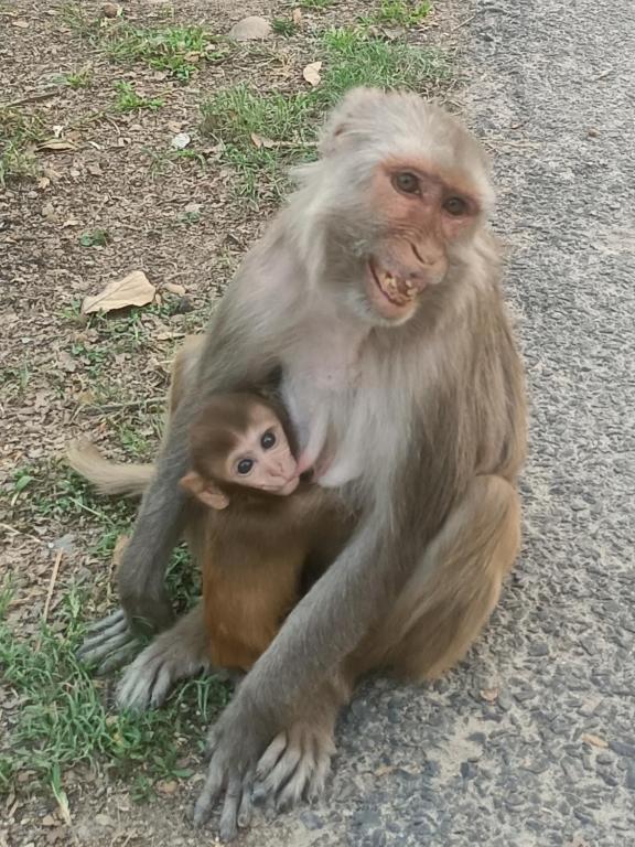 Surrounding environment