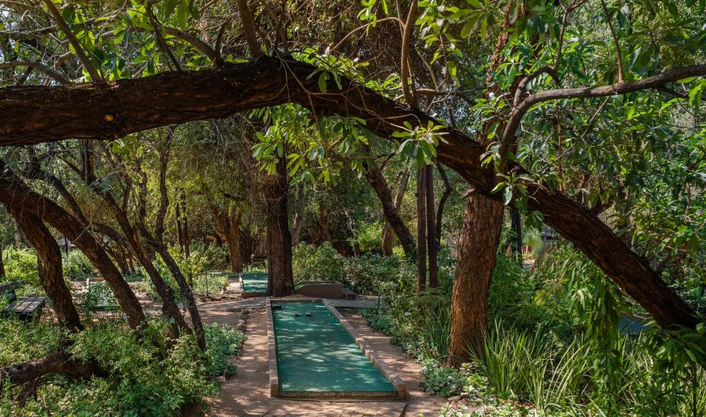 สนามเด็กเล่น