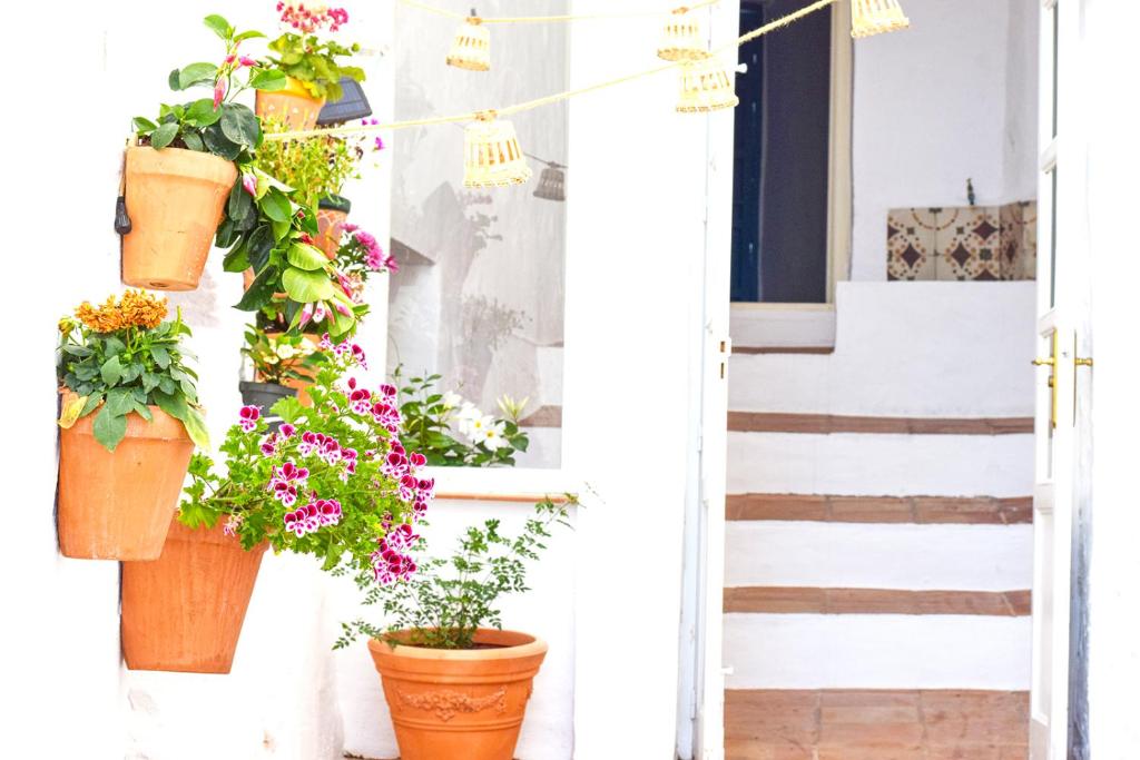 Casa Jazmin, Frigiliana Traditional townhouse with great views HansOnHoliday Rentals - 4