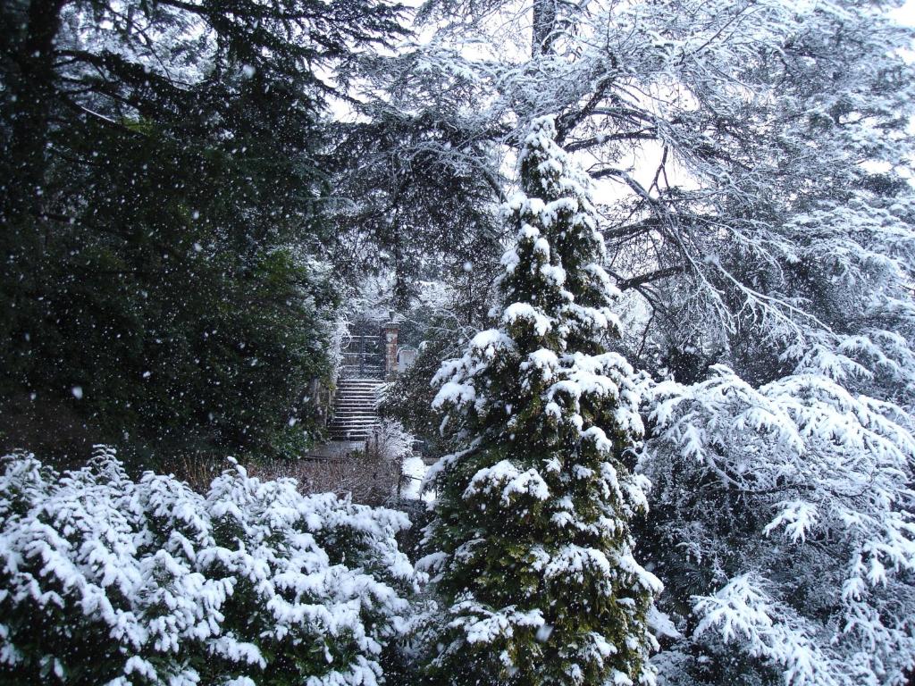 Il Parco e gli Affreschi photo