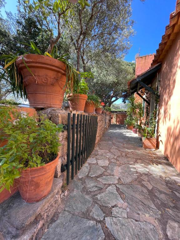 Villa ANTONIA - 4