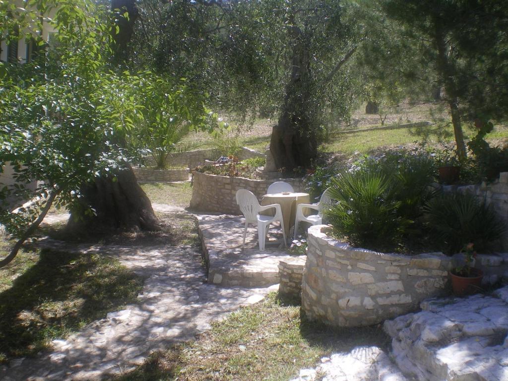 Azienda Agricola B&B Macchiaria - 5