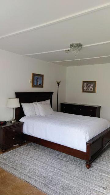 White Fang Motel photo