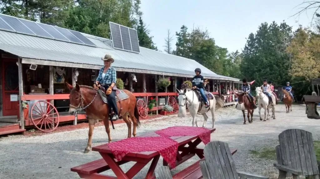 K!cking Mule Guest Ranch, hotel in Tehkummah