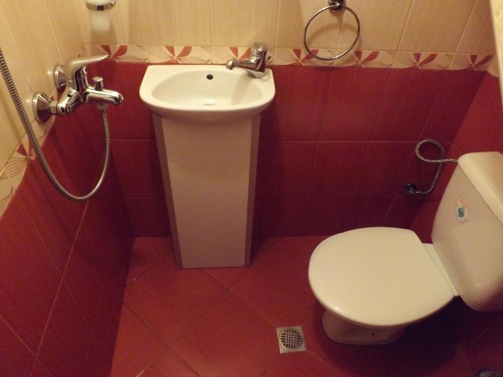 Hostel Rayska Yabalka photo